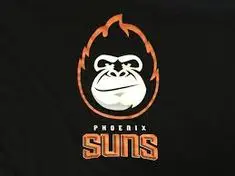 A black and orange logo for the phoenix suns.